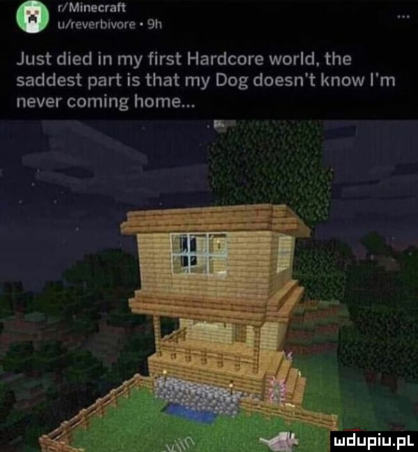 r minecraft u reverbwore just dred in my fiest hardcore wored. tee saddest part is trat my dog doesn t know i m neper coming home. abakankami e