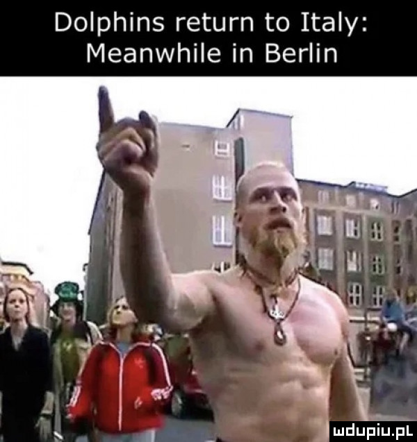 dolphins return to italy meanwhile in berlin