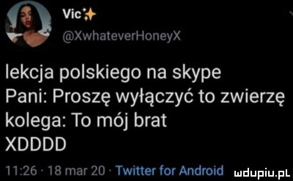 z vic thateverhoneyx iekcja polskiego na skype pani proszę wyłączyć to zwierzę kolega to mój brat xdddd          mar    twitter for android