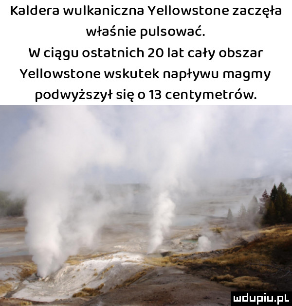 kaldera wulkaniczna yellowstone zaczęła właśnie pulsować. w ciągu ostatnich    lat cały obszar yellowstone wskutek naplywu magmy podwyższył się o    centymetrów