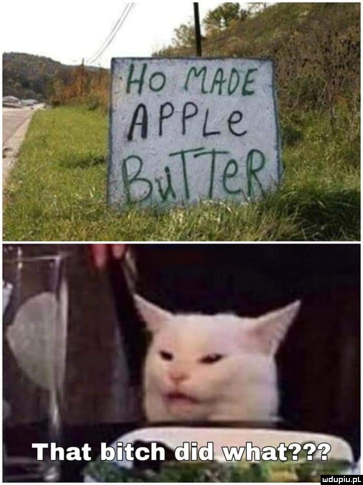 Ho made apple butter