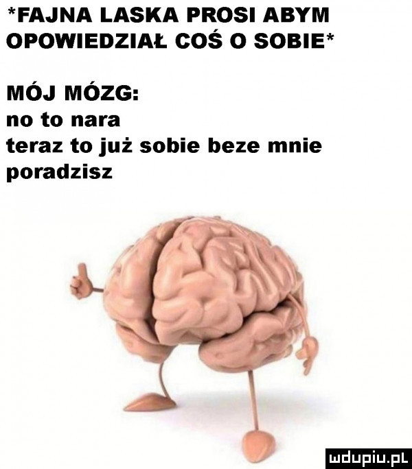 fajna laska mos abym opowiedzial coś o sosu mój mózg no to nara teraz to już sobie beze mnie poradzisz