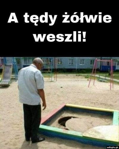 A tędy żółwie weszli