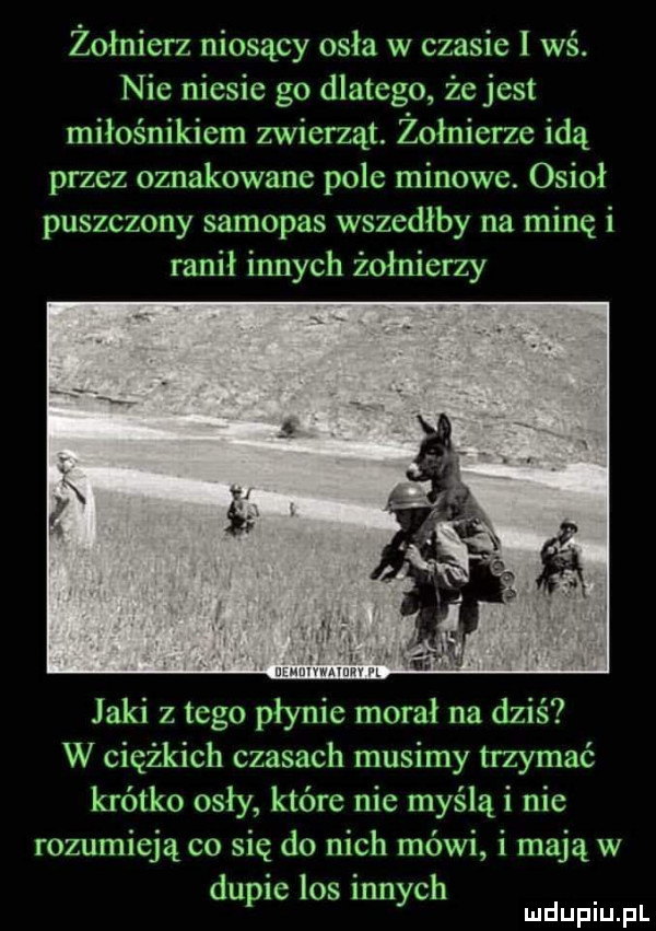 żołnierz niosący osła w czasie i wś. nic niesie go dlatego żejcst miłośnikiem zwierząt. żołnierze idą przez oznakowane pole minowe. osioł puszczony samopas wszedłby na minę i ranił innych żołnierzy jaki z tego płynie morał na dziś w ciężkich czasach musimy trzymać krótko osły które nie myślni nie rozumieją co się do nich mówi i majów dupie los innych