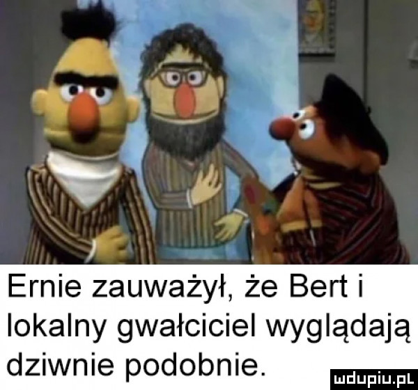 ennie zauważył że bert i lokalny gwałciciel wyglądają dziwnie podobnie