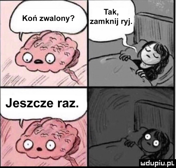 koń zwalony