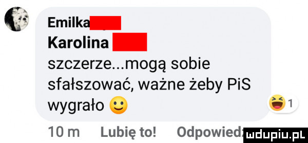 emilka karolina szczerze mogą sobie sfałszować. ważne żeby pis wygrało.      m lubię to odpowied