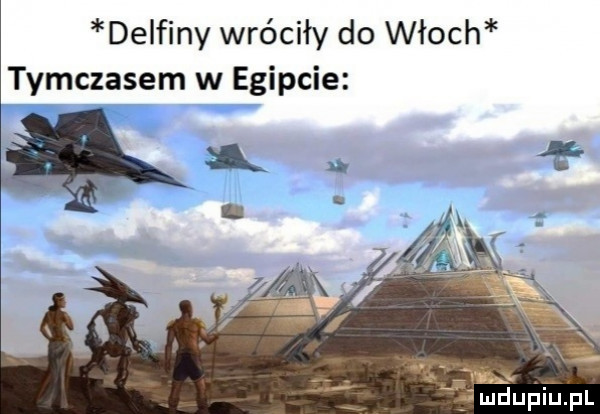 delfiny wróciły do włoch tymczasem w egipcie