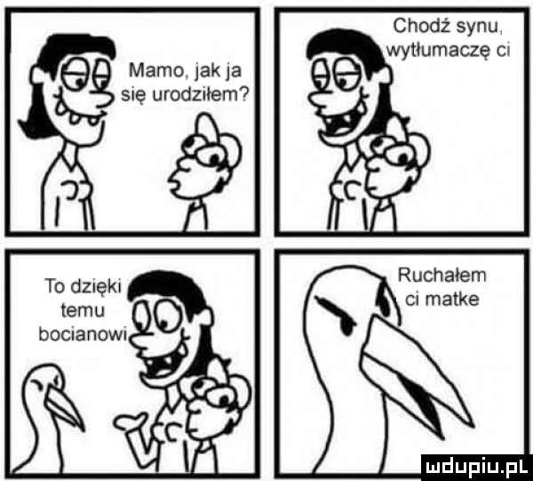 chodź synu mamo. jak ja sue modułem ruchałem to dznęku ci matke temu boolanom