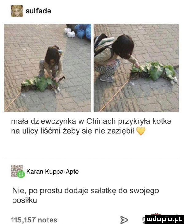 mała dziewczynka w chinach przykryła kotka na ulicy liśćmi żeby się nie zaziębił a karan kappa apce nie. po prestu dodaje sałatkę do swojego posiłku         notes sma