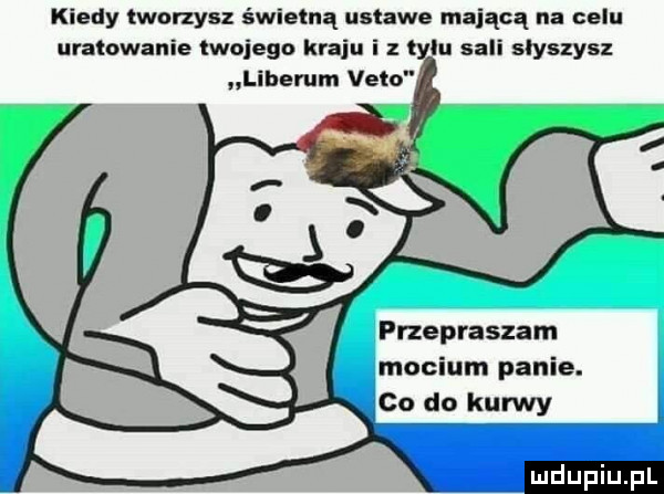 kiedy tworzysz świetną ustawe mającą na celu uratowanie twojego kraju i z l iu sali słyszysz liberem veto przepraszam mocium panie. co do kurwy