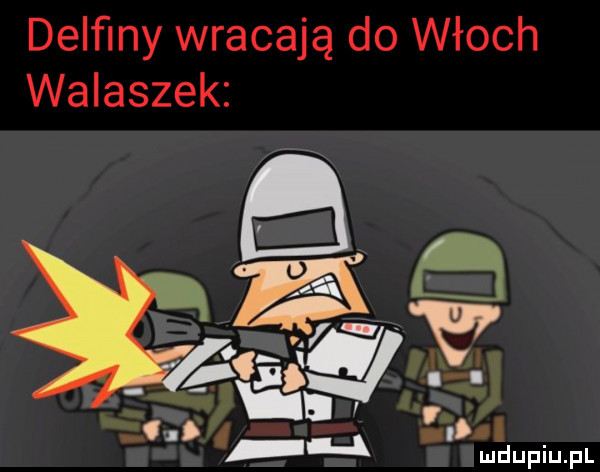 delﬁny wracają do włoch walaszek