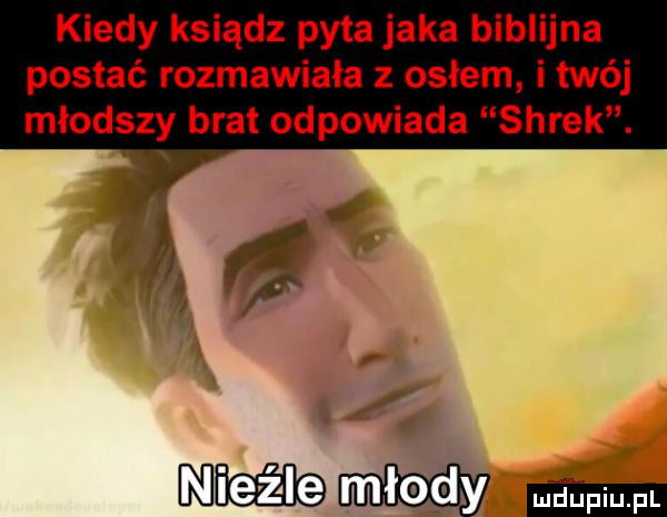 kiedy ksiądz pyta jaka biblijna postać rozmawiala z oslem i twój młodszy brat odpowiada shrek