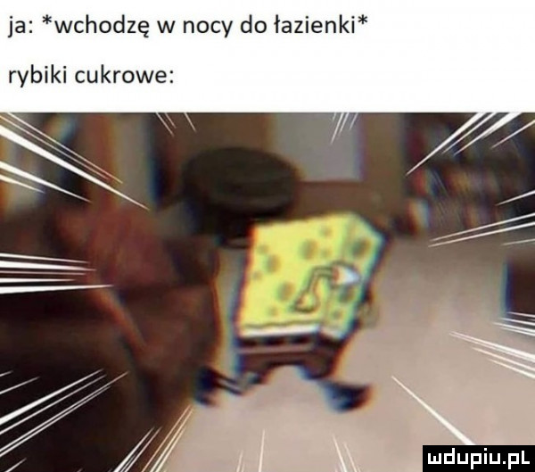 ja wchodzę w nocy do łazienki rybiki cukrowe