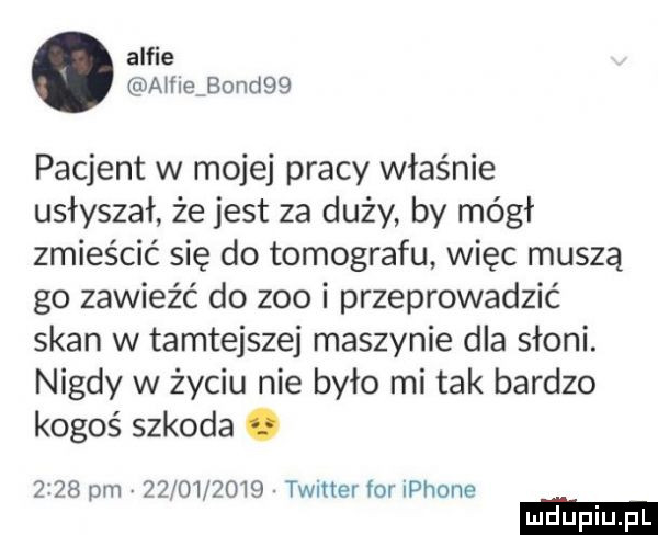 alfie a fleibondqq pacjent w mojej pracy właśnie usłyszał że jest za duży by mógł zmieścić się do tomografu więc muszą go zawieźć do zoo i przeprowadzić skan w tamtejszej maszynie dla słoni. nigdy w życiu nie było mi tak bardzo kogoś szkoda.                     . twitter for iphone