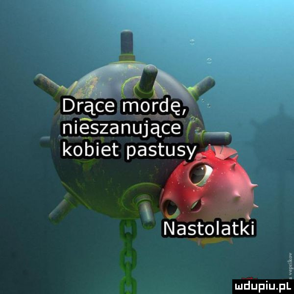 drącex mordę męszanujące. kobiet passusy nastolatki w e mfﬁpiupl
