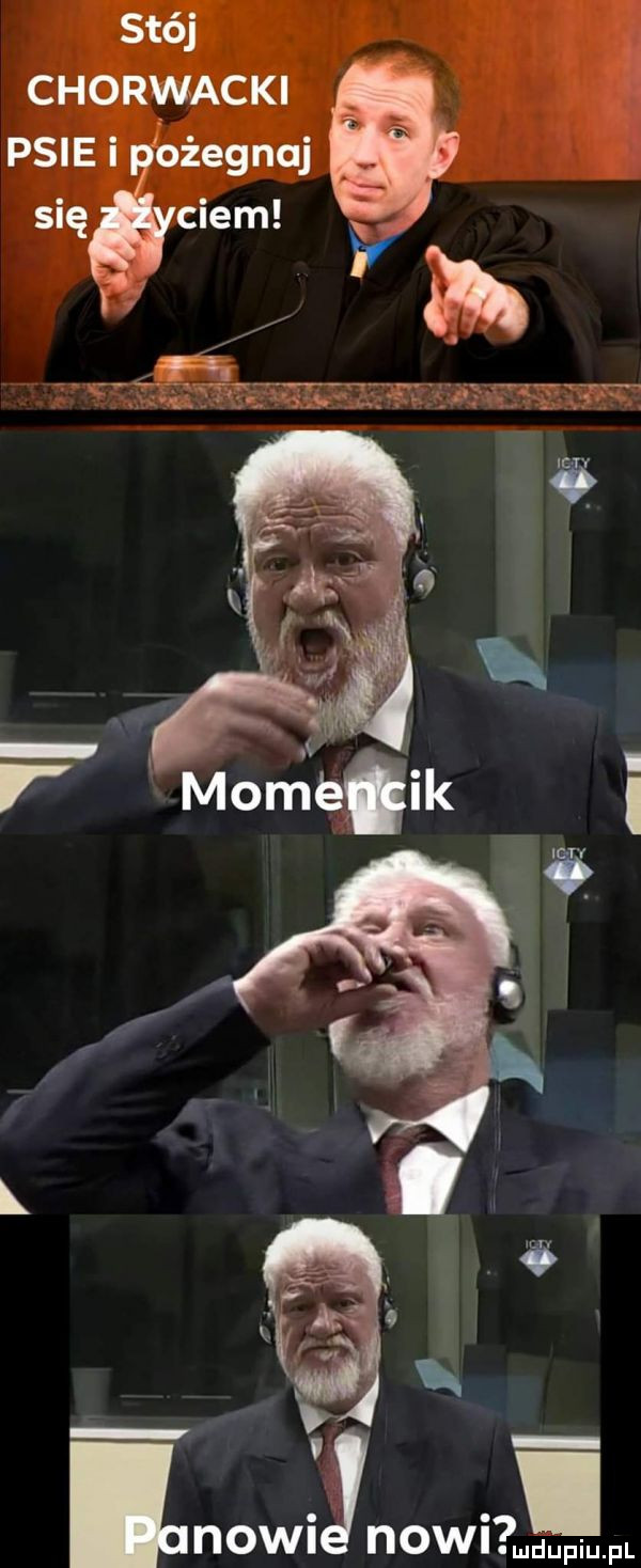 stój chorwacki psie i ożegnuj się ciem