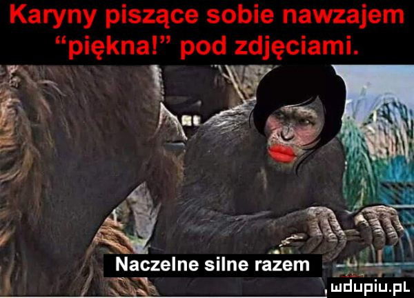 karyny piszące sobie nawzajem piękna pod zdjęciami. lex x   ll c ludupiu. pl