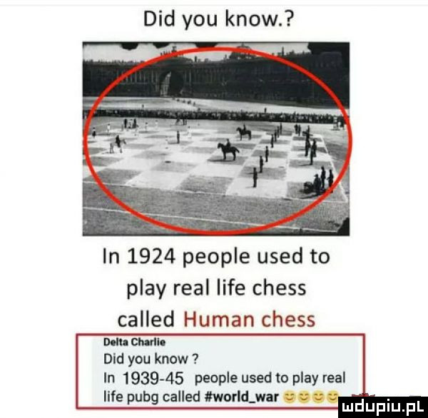 ddd y-u know. in      people used to play real lice chess called human chess m st u. ddd y-u know in         people used   play real lice puig called morltwar