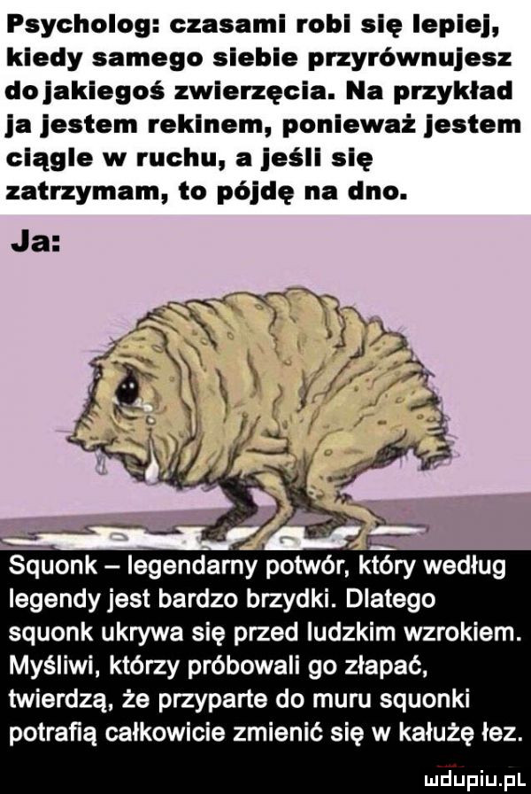 psycholog czasami robi się lepiej kiedy samego siebie przyrównujesz dojakiegoś zwierzęcia. na przykład ja jestem rekinem ponieważ jestem ciągle w ruchu a jeśli się zatrzymam to pójdę na dno. ja legendy jest bardzo brzydki. dlatego squonk ukrywa się przed ludzkim wzrokiem. myśliwi którzy próbowali go złapać twierdzą że przyparte do muru squonki potrafią całkowicie zmienić się w kałużę łez