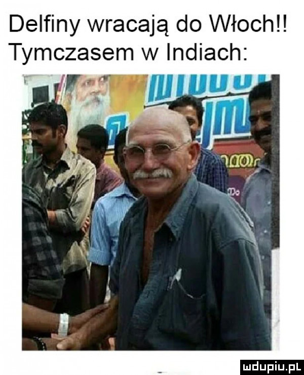 delfiny wracają do włoch tymczasem w indiach