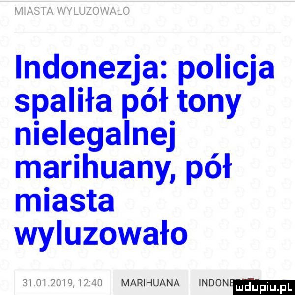 indonezja policja spaliła pół tony nielegalnej marihuany pół miasta wyluzowało marihuana indonw