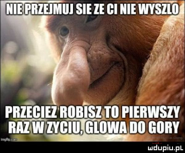 pbiumiii sie ie bi wysllo ﬂu raz i clu nnmsm pierwszy anzvcnu szlam no annv ludupiu. pl