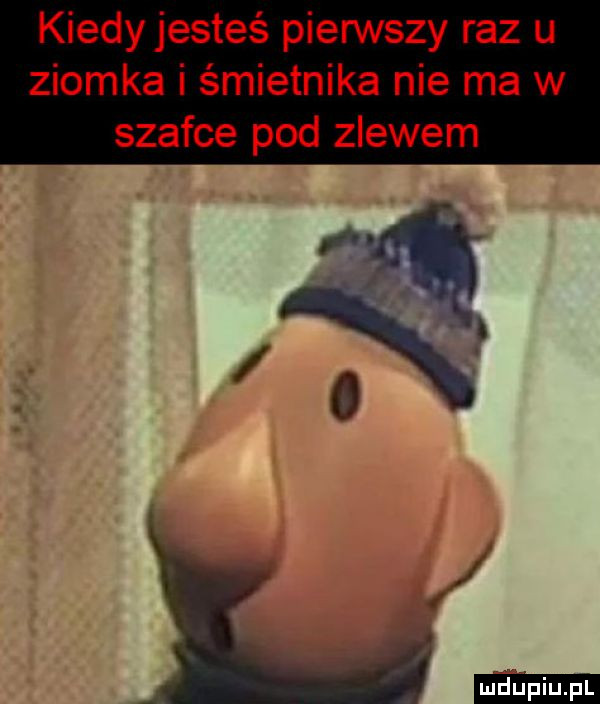 kiedy jesteś pierwszy raz u ziomka i śmietnika nie ma w szafce pod zlewem