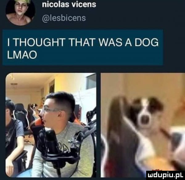 nicolas vicens iesbicens i thought trat was a dog lmao