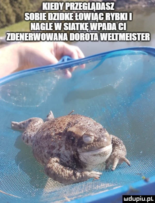 r msnvrązmli nasz sunlinmnlmwm mm mauwsmmwmnn cl znmmuowm nunum wmunsm