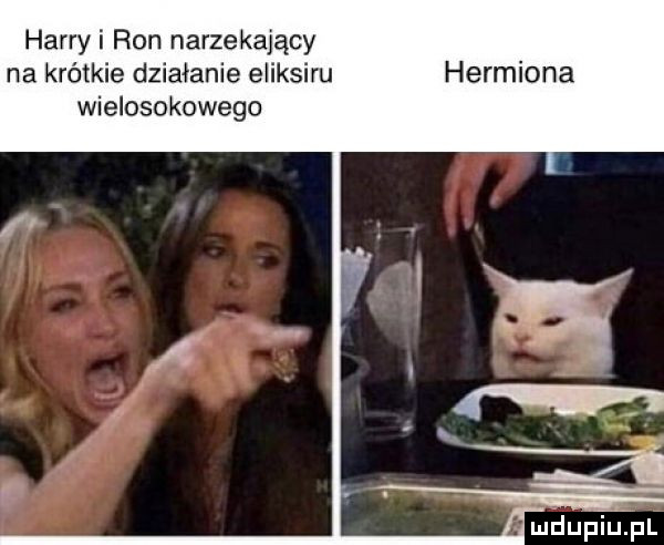 harryi ron narzekający na krótkie działanie eliksiru hermiona wielosokowego mdupiqul