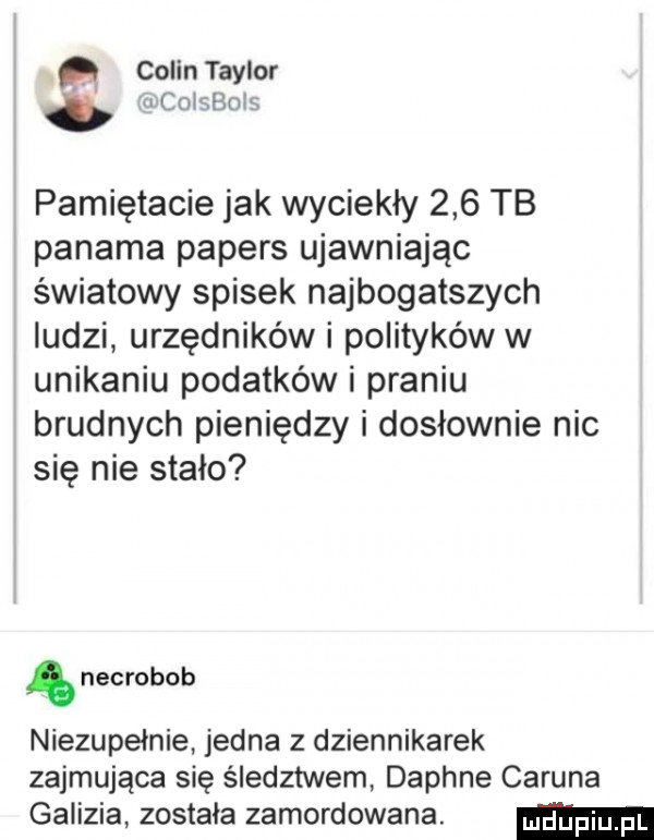 colin taylor coisboif pamiętacie jak wyciekły     tb panama popers ujawniając światowy spisek najbogatszych ludzi urzędników i polityków w unikaniu podatków i praniu brudnych pieniędzy i dosłownie nic się nie stało necrobob niezupełnie jedna z dziennikarek zajmująca się śledztwem daphne carina gaiizia została zamordowana