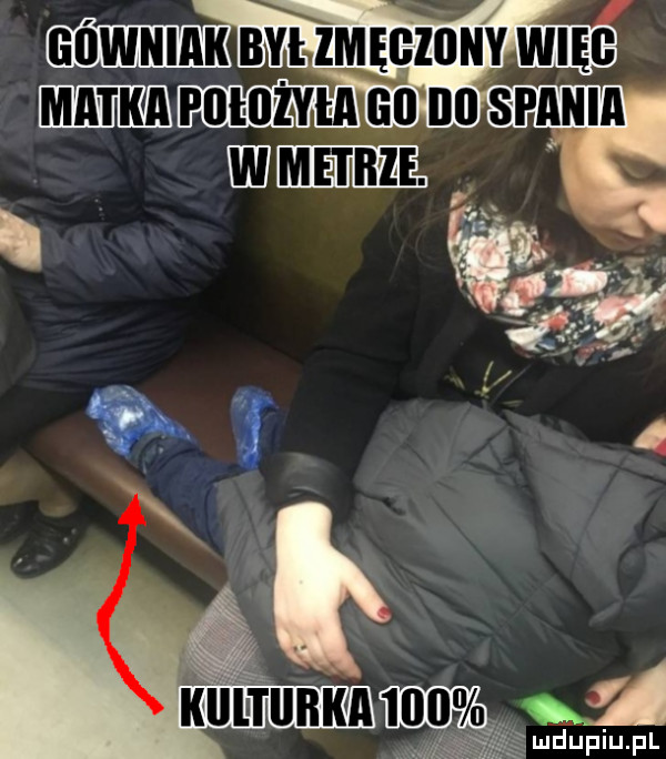 górniak bylzmęgzony wilg ludupiu. pl