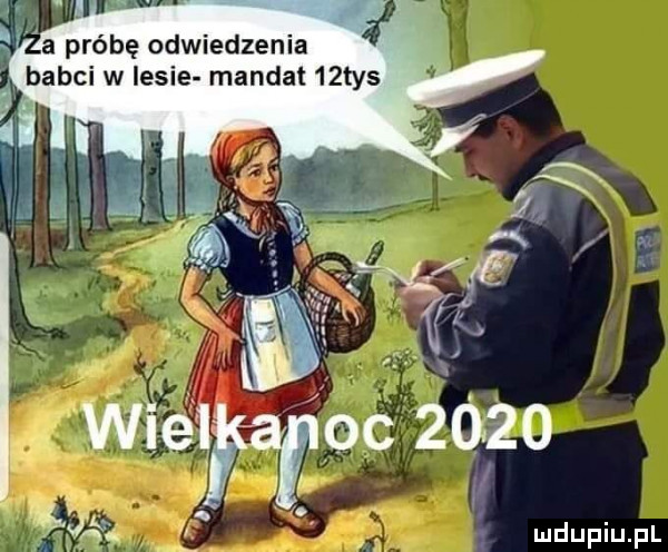 a próbę odwiedzenia babci w lesie mandat   tys wielfąroc      ﬂag n ludupiu. pl