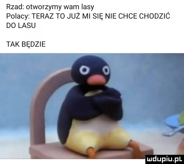 rzad otworzymy wam iksy polacy teraz to już mi się nie chce chodzic do lasu tak będzie