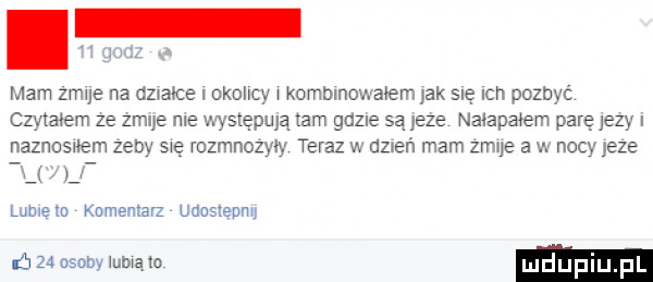 h mam zmue na matce okolicy komblnovaałem jak sag ian pozbyć czytałem ze zmue me występują  am guzie są jeze nalapabem parę jezy i naznosuem zeby się rozmnożyły teraz w dzień mam zmue a w nocy jeze lome w knmentavz unusteunu ń    osoby admo mduplu pl