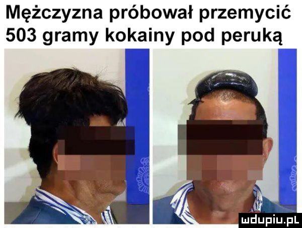 mężczyzna próbował przemycić     gramy kokainy pod peruką ludupiu. pl