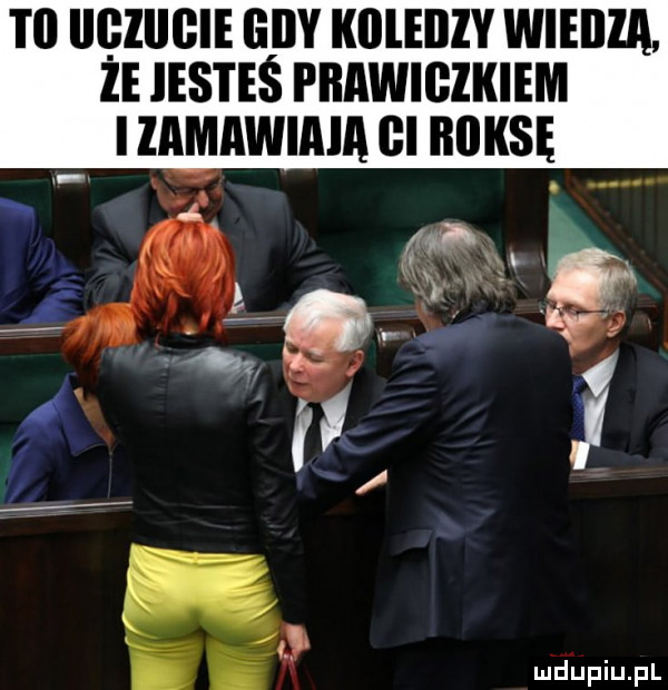 t  iigiiicie gdy kllleilly wiedza ze jesteś fbawigzkiem i zamawiam gi house k f pm. abakankami s e e
