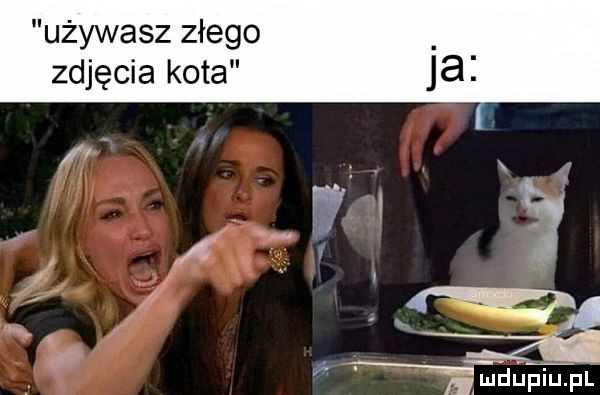 używasz złego zdjęcia kota lai. i weijfmfl
