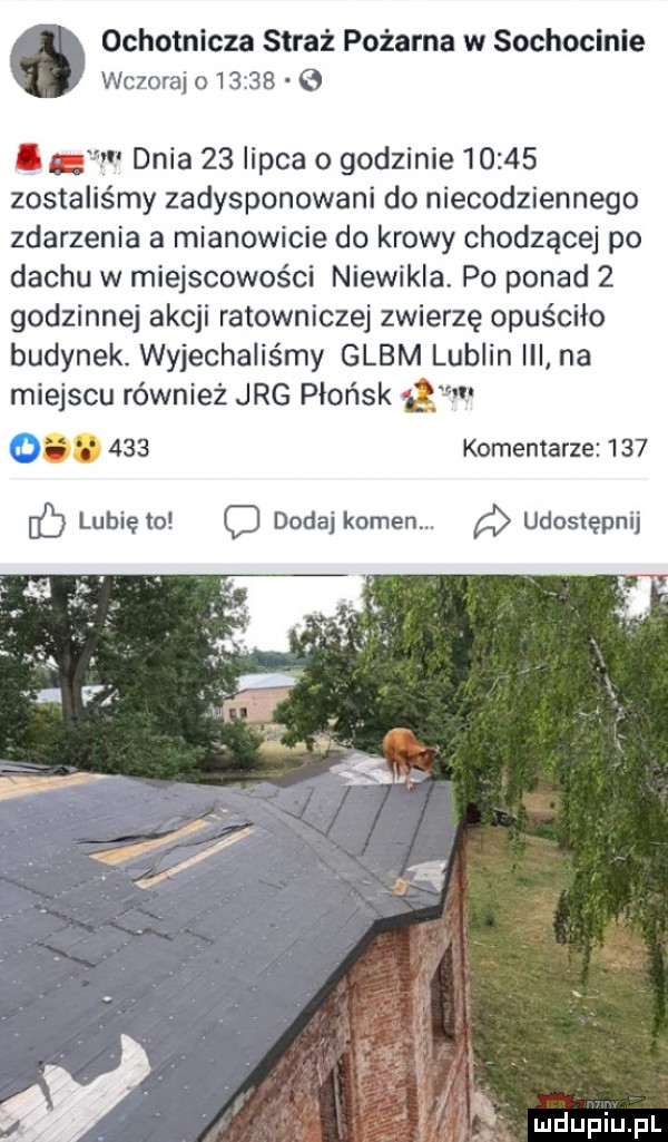 ochotnicza straż pożarna w sochocinie wczoraj o       ig dnia    lipca o godzinie       zostalismy zadysponowani do niecodziennego zdarzenia a mianowicie do krowy chodzące po dachu w miejscowości niewikla. po ponad   godzinnej akcji ratowniczej zwierzę opuściło budynek. wyjechaliśmy glam lublin iii na miejscu również jag płońsk        i     komentarze     c dodaj kamen. udostępnij v l y