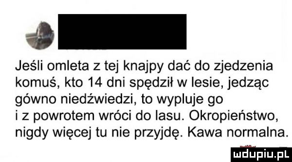 jeśli omleta z tej knajpy dać do zjedzenia komuś kto    dni spędził w lesie jedząc gówno niedźwiedzi to wypluje go i z powrotem wróci do lasu. okropieństwo nigdy więcej tu nie przyjdę. kawa normalna