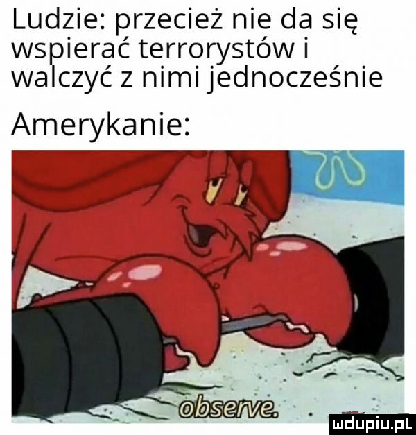 ludzie przecież nie da się vażęcierać terrorystów i czyc z nimi jednocześnie amerykanie
