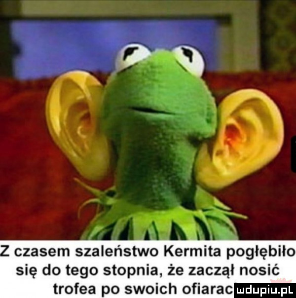 czasem szaleństwo kermita pogłębiło się do tego stopnia że zaczął nosić trofea po swoich ofiarac