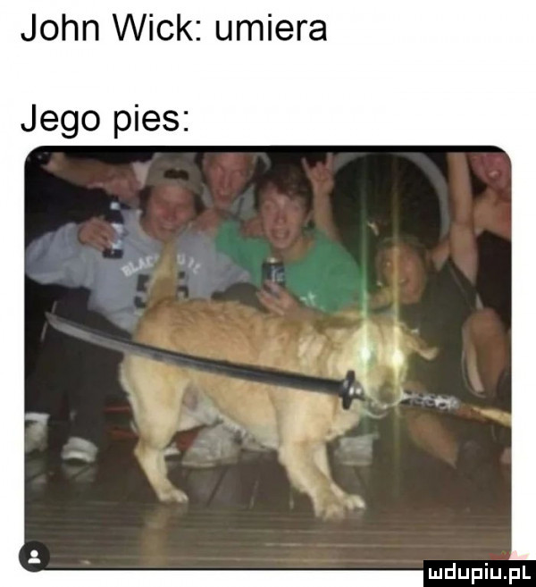 john weck umiera jego pies