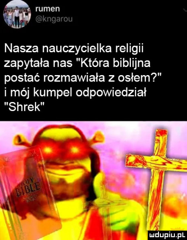 nasza nauczycielka religii zapytała nas która biblijna postać rozmawiała z osłem i mój kumpel odpowiedział shrek