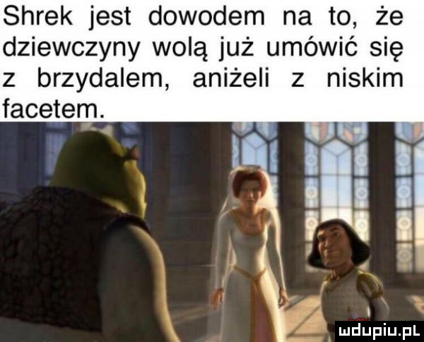 shrek jest dowodem na to że dziewczyny wolą już umówić się z brzydalem aniżeli z niskim facetem. i i i lal e e
