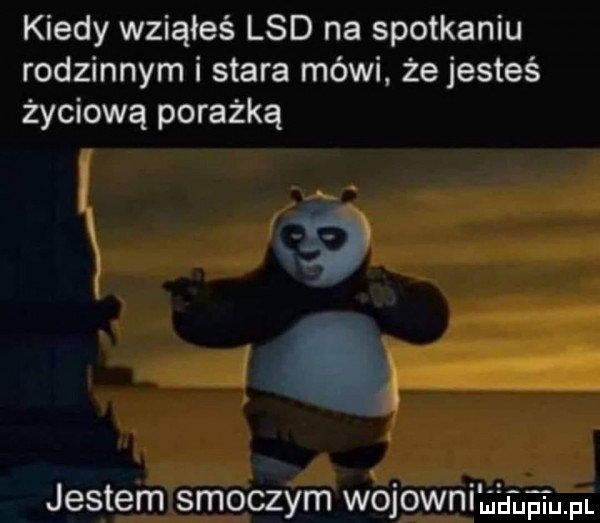 kiedy wziąłeś lsd na spotkaniu rodzinnym i stara mówi. że jesteś życiową porażką jestem smoczym wojownibhaaum