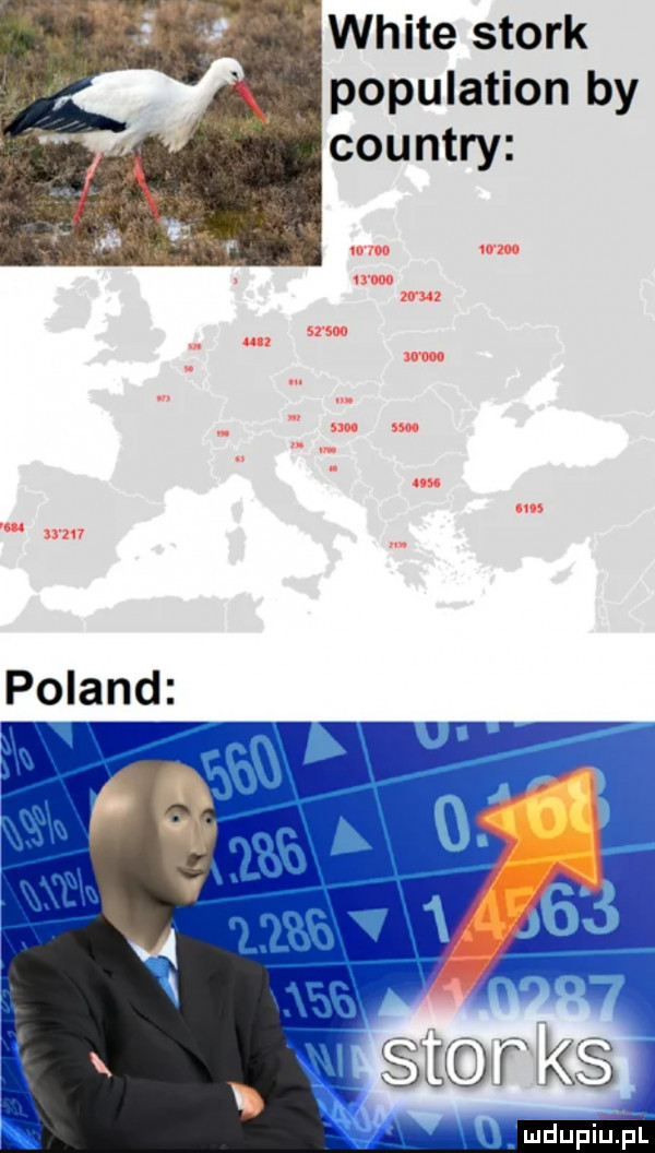 white stock population by country   woo nm akson un mm on m m ma  e  f k  ludupiu. pl