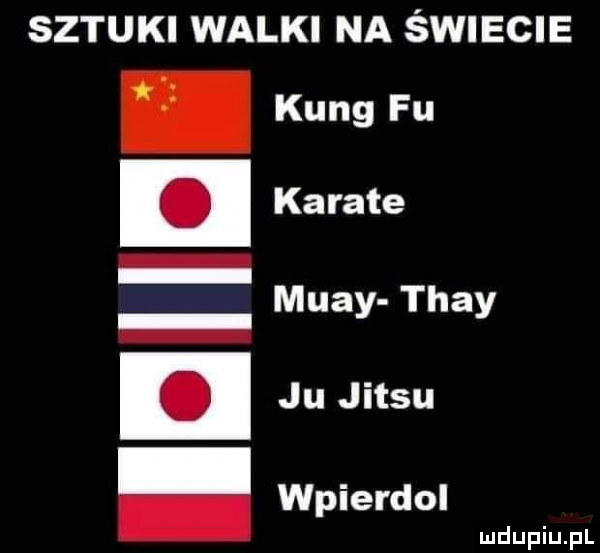 sztuki walki na świecie king fu karate mudy tray ju jitsu wpierdol