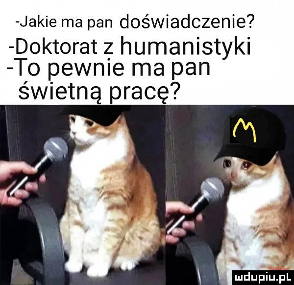 jakie ma pan doświadczenie doktorat z humanistyki tp pewnie ma pan sw etną pracę ludu iu. l